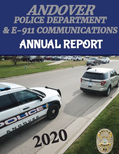 2020 annual report pic