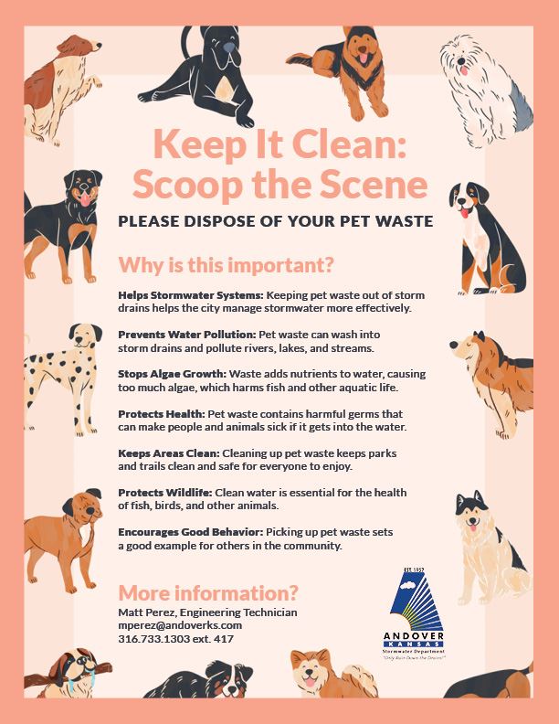 Pet waste flyer